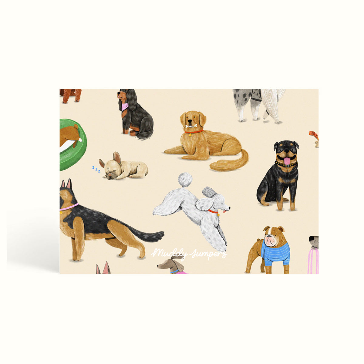 Puppy, Dog illustration, Dog pattern, Notecards, handwritten notes, notemaking, notes, scalloped design, stationery, personalised notecards, personalised notes, custom notecards, the muddy jumpers